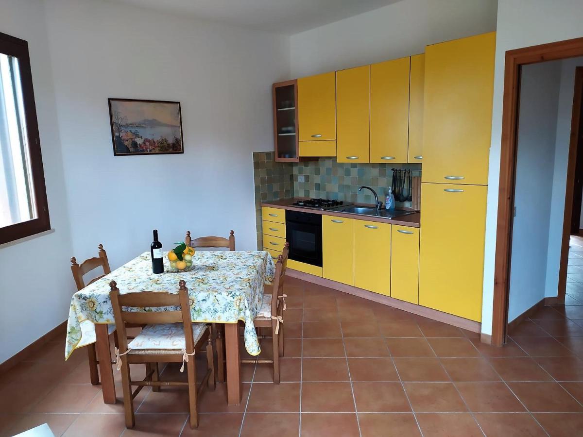 Due Pini Apartment Scopello  Cameră foto